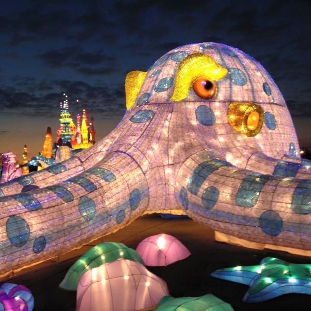 Meet your Posher, Rene